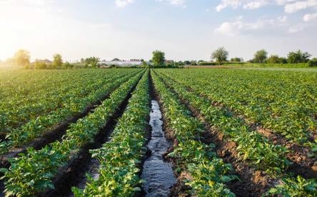 Andy Harris chair of the Appropriations Subcommittee on Agriculture and Rural Development